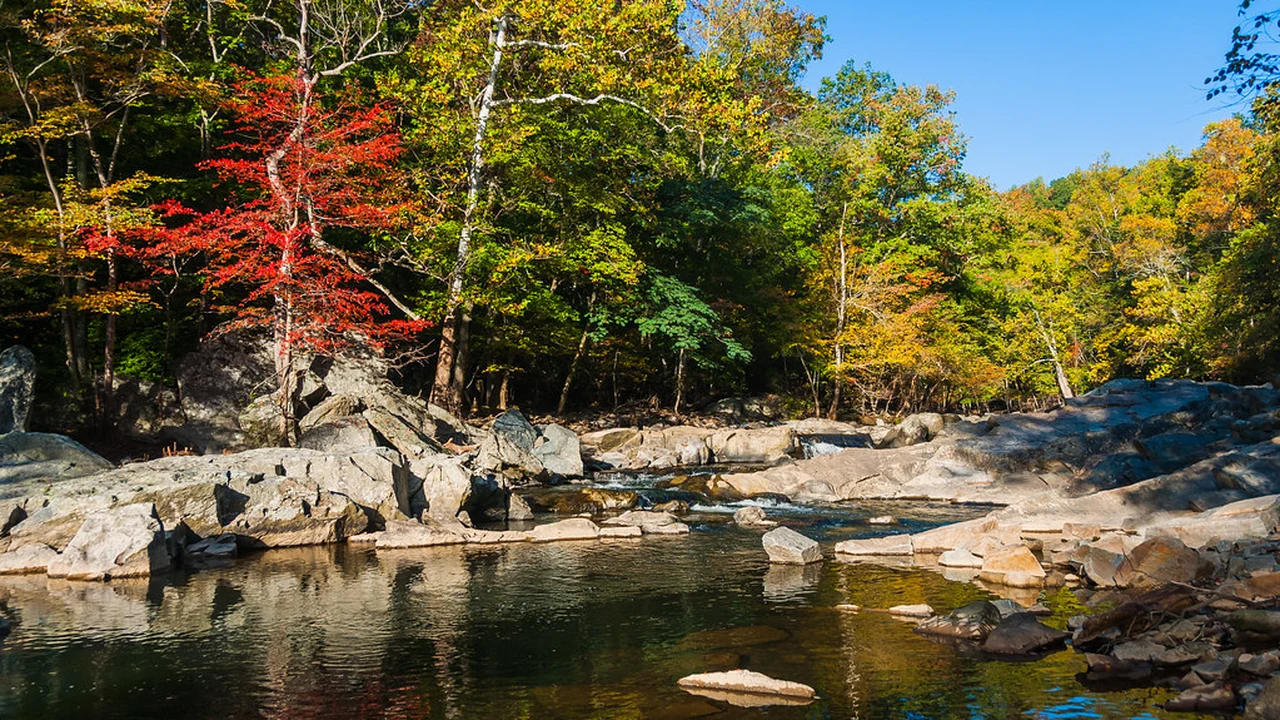 Great Falls Park 波托马克河峡谷激流与两侧峭壁红叶